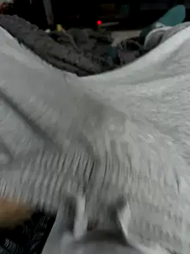 Frankieyyy1 online show from 28, 11, 2025