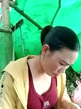 Snapshot of cicnci chatting on 5, 11, 2025 cicnci online show from 5, 11, 2025