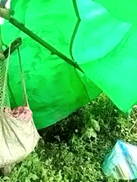 Snapshot of cicnci chatting on 9, 11, 2025 cicnci online show from 9, 11, 2025