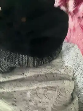 Snapshot of Yasar-Xxxl chatting on 12, 2, 2026 Yasar-Xxxl online show from 12, 2, 2026