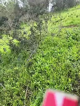 Snapshot of Yasar-Xxxl chatting on 6, 3, 2026 Yasar-Xxxl online show from 6, 3, 2026