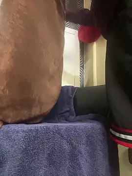 Snapshot of Yasar-Xxxl chatting on 12, 3, 2026 Yasar-Xxxl online show from 12, 3, 2026