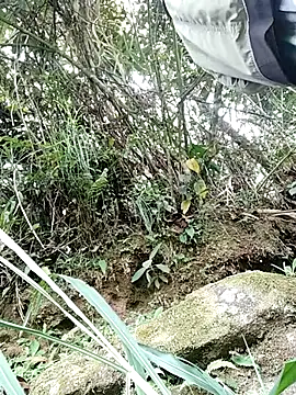 pitersonntt online show from 10, 2, 2026