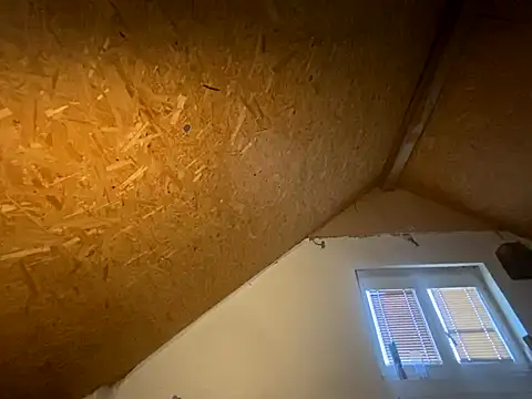 Salon1986 online show from 7, 11, 2025