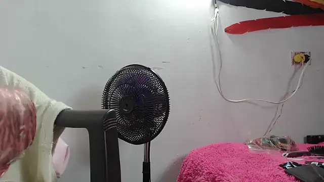 maggi hotsson online show from 22, 3, 2026