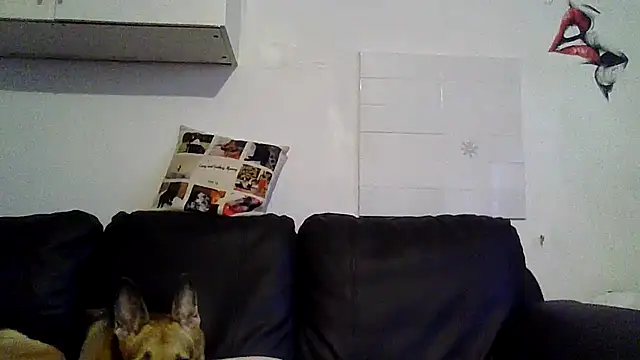 RubyyRosee online show from 12, 5, 2026