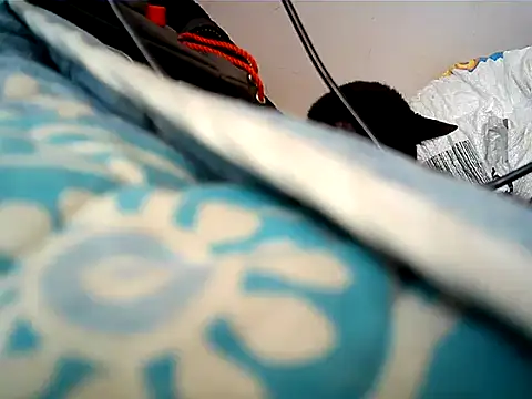 matrix70016 online show from 12, 10, 2025