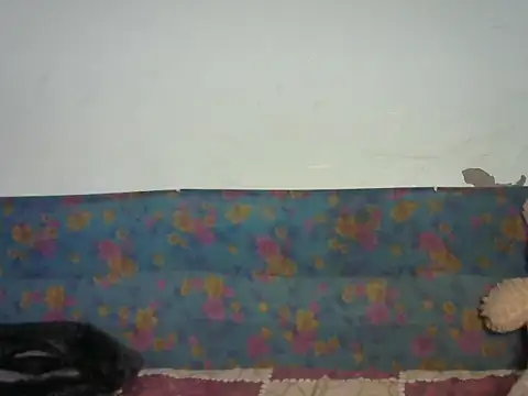 Snapshot of Baby_doll9090 chatting on 14, 1, 2026 Baby doll9090 online show from 14, 1, 2026