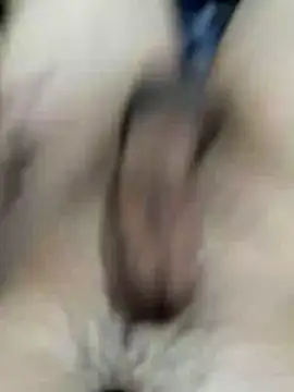 Zepe 12 online show from 29, 11, 2025