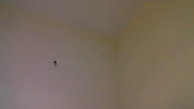 str8matesirishoz online show from 15, 10, 2025