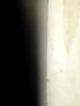 Sonalihot  online show from 1, 3, 2026