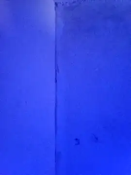 Snapshot of RandalHot chatting on 23, 11, 2025 RandalHot online show from 23, 11, 2025