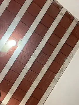euseila98 online show from 10, 7, 2026