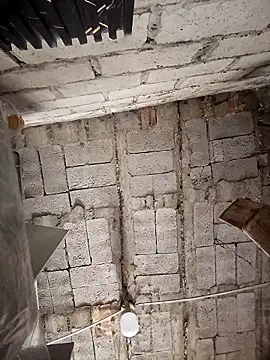 Aley 2025 online show from 8, 1, 2026