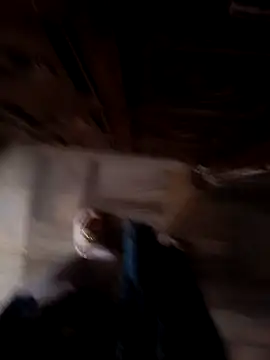 sanu 07 online show from 9, 9, 2025