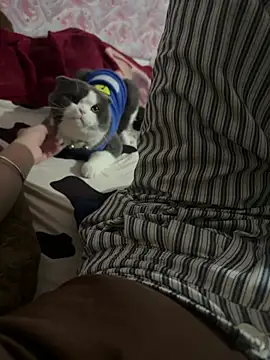 Snapshot of keelinnn19 chatting on 18, 2, 2026 keelinnn19 online show from 18, 2, 2026