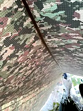 Alabestia12 online show from 11, 11, 2025