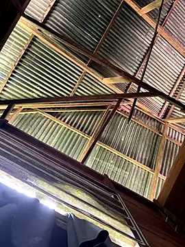 Alabestia12 online show from 5, 12, 2025