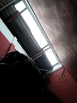 solpeich online show from 28, 2, 2026