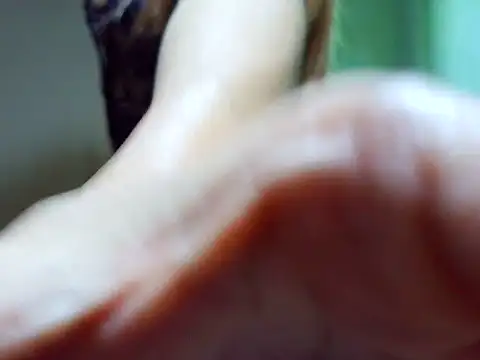 Snapshot of ashley_kimxx chatting on 22, 2, 2026 ashley kimxx online show from 22, 2, 2026