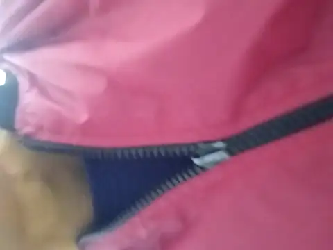 nacho20cmhot online show from 15, 10, 2025