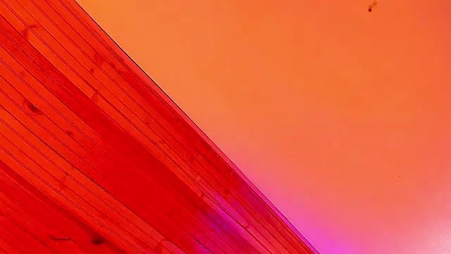 Angel kanon online show from 3, 3, 2026