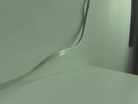 Snapshot of BrigthIbarra chatting on 12, 11, 2025 BrigthIbarra online show from 12, 11, 2025