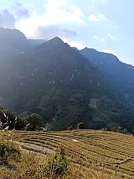 MuiNay online show from 24, 11, 2025