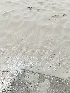 pegaso369 online show from 22, 9, 2025