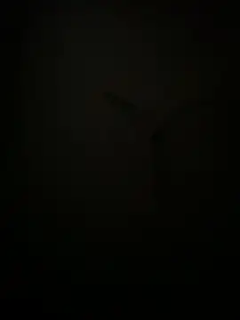 succy33 online show from 7, 10, 2025