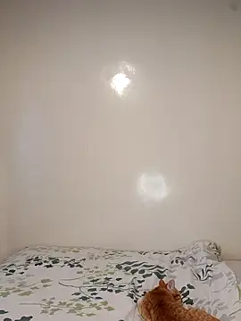 Snapshot of Nedambale chatting on 3, 2, 2026 Nedambale online show from 3, 2, 2026