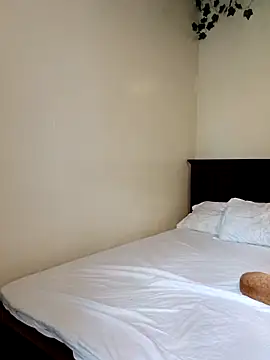 Snapshot of Nedambale chatting on 11, 3, 2026 Nedambale online show from 11, 3, 2026