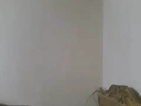 elpoop7305 online show from 15, 3, 2026