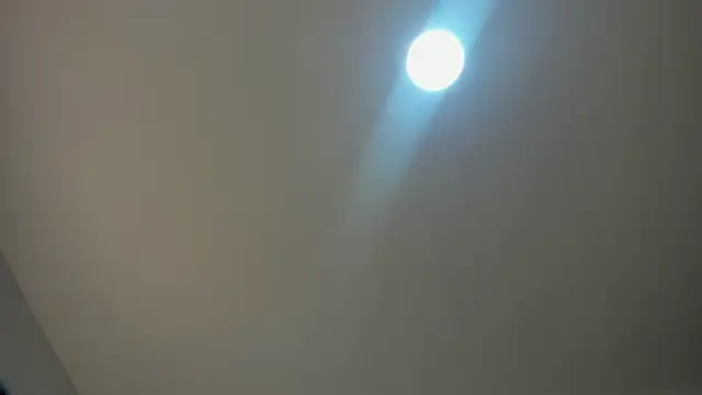 VioletRose as online show from 30, 11, 2025