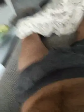 hansvonerotic1 online show from 2, 12, 2025