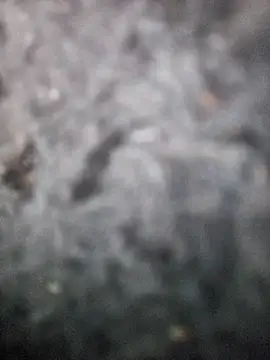 Snapshot of Romance32 chatting on 3, 11, 2025 Romance32 online show from 3, 11, 2025