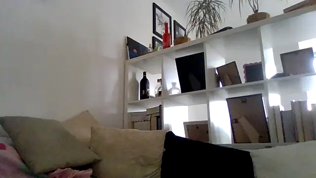 Snapshot of bigcockjohnxxxxx chatting on 11, 11, 2025 bigcockjohnxxxxx online show from 11, 11, 2025