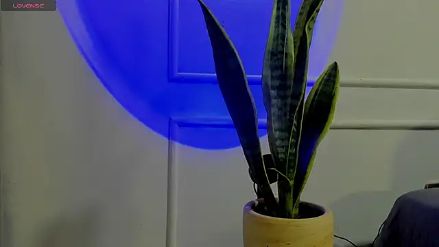 Ice Princess  online show from 2, 10, 2025