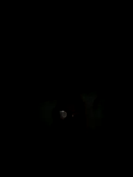 Snapshot of philefc chatting on 3, 11, 2025 philefc online show from 3, 11, 2025