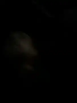 high3ndlowlife online show from 27, 11, 2025