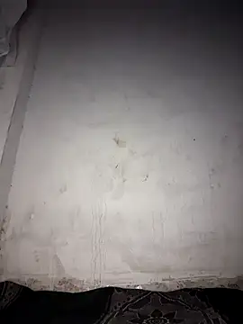 msandmr online show from 20, 12, 2025