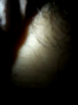 Snapshot of luislimafuego chatting on 4, 10, 2025 luislimafuego online show from 4, 10, 2025