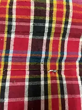 hamstar09 online show from 17, 10, 2025