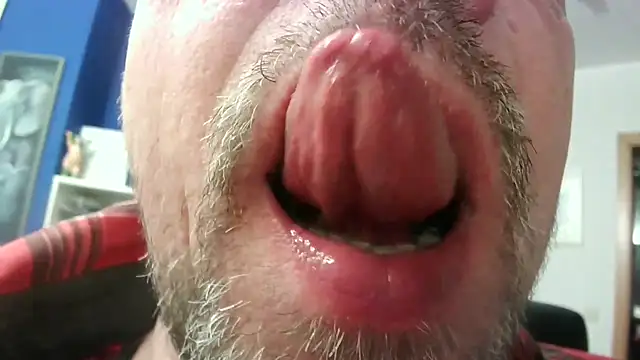 circus bearxh online show from 23, 11, 2025