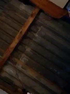 LUISSLEONN0958 online show from 25, 9, 2025