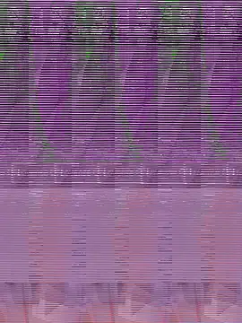 its Surya BBC online show from 4, 12, 2025