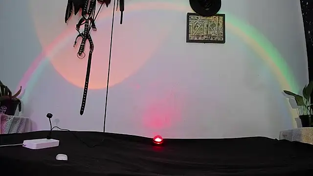 dex 55 online show from 12, 5, 2026