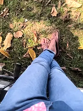 rajdehli online show from 28, 10, 2025