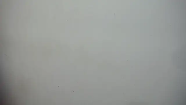 nenaa stg online show from 12, 9, 2025