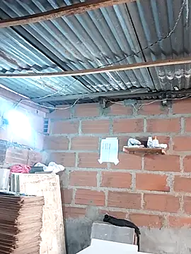 Snapshot of hoteder chatting on 17, 12, 2025 hoteder online show from 17, 12, 2025